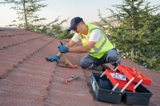 Best Roof Gutter Cleaning  in Wfield, IN